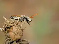 8699