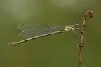 87573