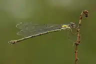 87573