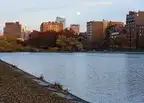 88457