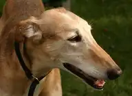 88535