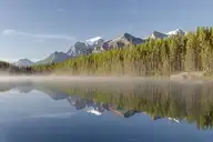 8898