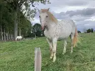89220