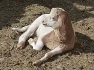 89237