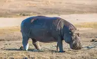 8970