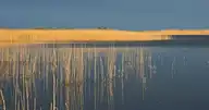 9040