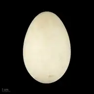 90663
