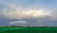 90683