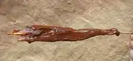 90699