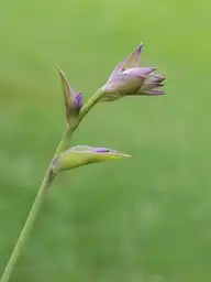 9073