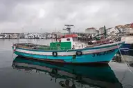 90833