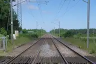91023