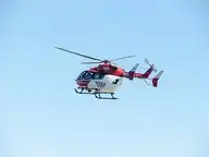 91031