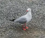 91072