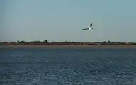 91091