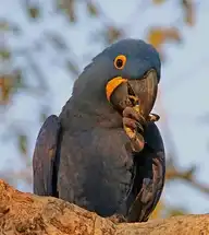 9138