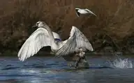 9164