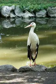 92737