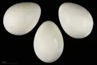 92947