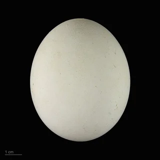 small