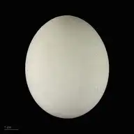 93014