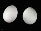 93041