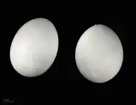 93041