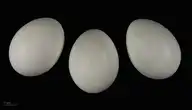 93042