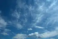 93116