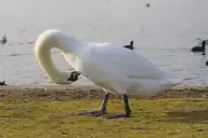 93171