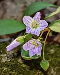 93854
