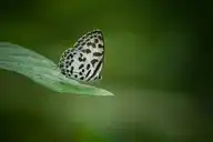 94300