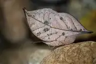 94309