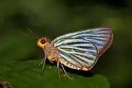 94318