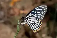 94343