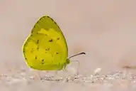 94359