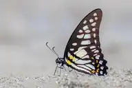 94362