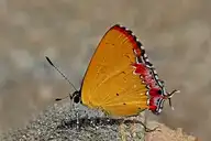 94364