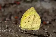 94383