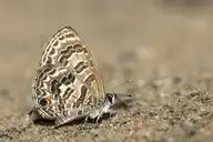 94406