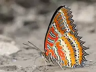 94413
