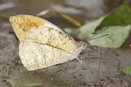 94426