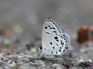 94437