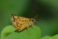 94501