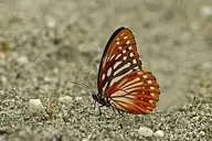 94503