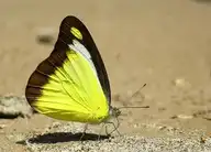 94510