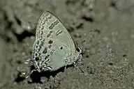 94551