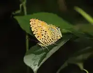 94587