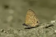94617