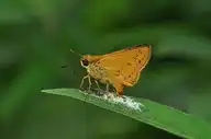 94628